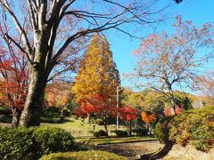 とりあえず、なにかお昼でも食べに街の方へ行ってみようか……と、走っていくと紅葉の綺麗な公園が見えました。急遽寄り道。