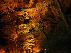 香嵐渓 もみじのトンネル