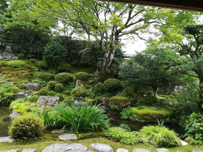 実光院<br />契心園の額縁庭園