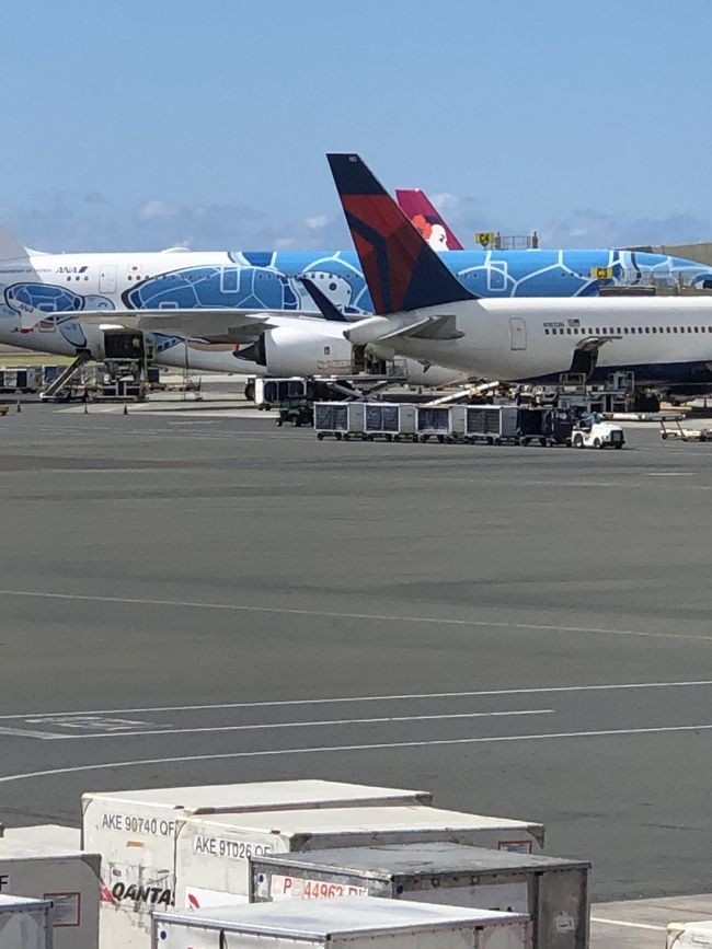 ANAのホヌ君も見えました。