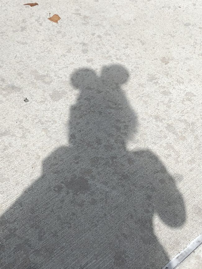 2019年 ディズニーワールド ディズニーハリウッドスタジオ オーランド アメリカ の旅行記 ブログ By ゆみこ さん フォートラベル 2019年 ディズニーワールド ディズニーハリウッドスタジオ オーランド アメリカ の旅行記 ブログ By ゆみこ さん フォートラベル