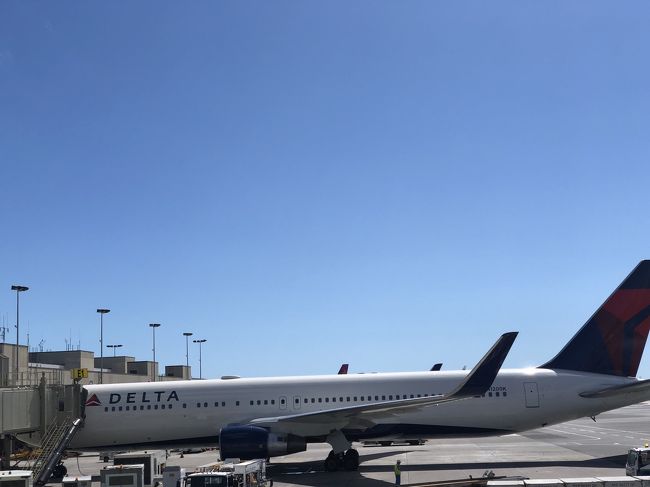 デルタさん。今日は無事飛んでね。と願いつつ。