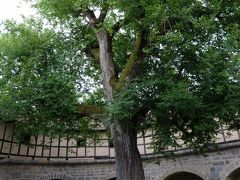 ローテンブルク・オプ・デア・タウバー
Rothenburg ob der Tauber

シュピタール バスタイ（シュピタール城砦）
Spitalbastei

さて、本日の宿、ネッカー川川沿いの古城ホテル、ヒルシュホルン城へ向かいます。