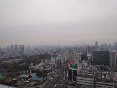 その後、天王寺まで行き、あべのハルカスへ。16階からの景色。あんまり見晴らしが良くない。ということで、60階の展望台に行くのは止めました。