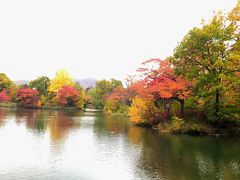 中島公園