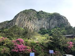 チャーター車で本日も観光です。
今日は済州島の西側をめぐります。
西帰浦市の山房山に到着

