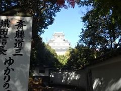 展望台から岐阜城へは、さらに歩く事になります。漸く、お城が見えてきました。４人とも汗びっしょりでした。