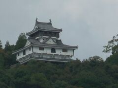山の上に岩国城が見えます。
今回はこの後広島に出るため時間がなくパスしました。
