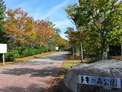 トキの森公園