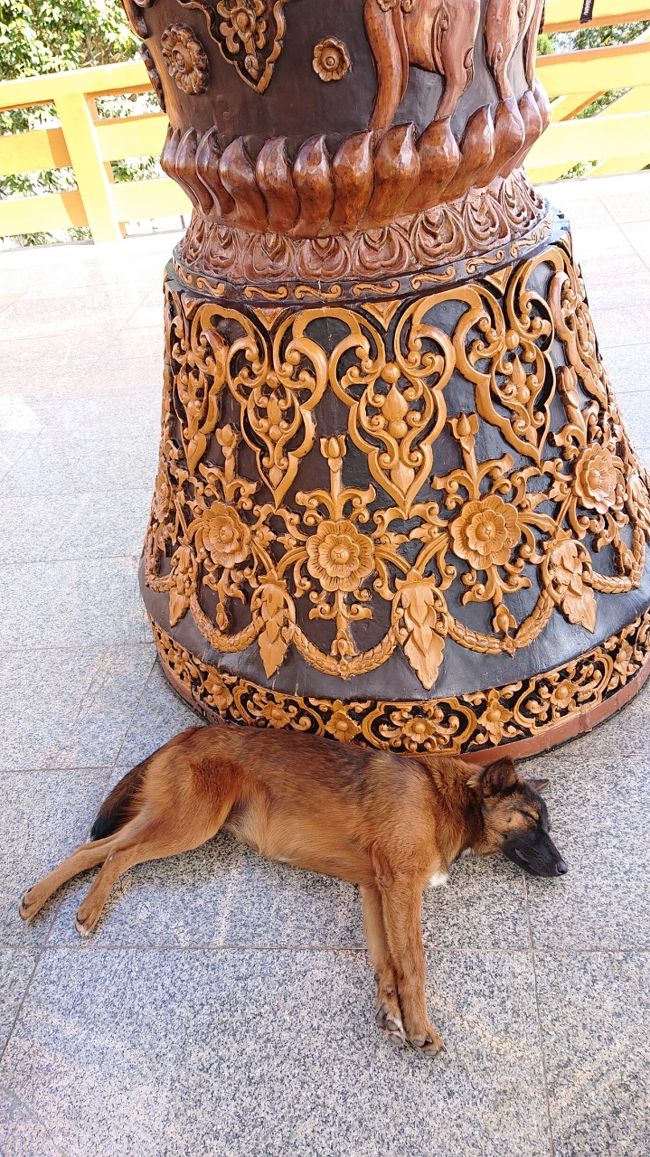 柱の装飾も豪華絢爛ですが、、、メインは　タイ犬です　笑<br /><br />野良なんだと思いますが　至る所に、タイ犬がいて、おとなしい、人見知りもせず。。というより、人間が見えてない感じ。マイペースで、暑いのに寝てます　こんな風に。　暑いから　ぐったりなのか？