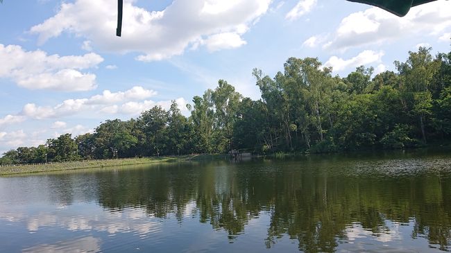 池の湖畔があり、これも心地よくって　そよ風が吹いて　心が浄化されます。<br />眠りそうになりますが、タイ料理の辛さで目覚めます。<br /><br />ナマズも泳いでいます。<br />サワディーカー　?<br />　近くのテーブルのお客さん餌あげてましたね。<br />ナマズくん、ガパオライスでも食べてたりして