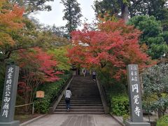 北鎌倉駅に向かう途中で円覚寺の前を通り掛かったが、こちらはこの通り綺麗な紅色に染まっていた。

紫陽花咲き乱れる初夏の鎌倉も好いが、秋の鎌倉もまた素敵だと思う。
特に観光客でごった返す事のない北鎌倉は景色を楽しみながら散策するのに適している。
幸いにも自宅から気軽に伺う事のできる距離なので、これからも何度も訪れる事になるだろう。

了