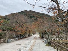 鳥取城跡の久松公園です。