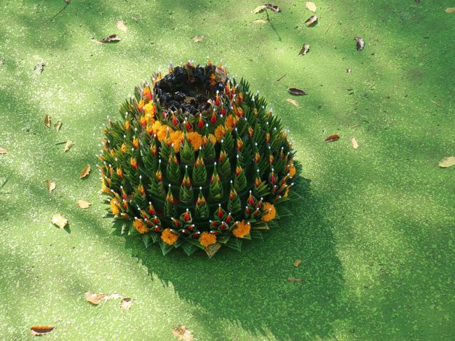 緑の藻の中でロイクラトンの灯ろうが。