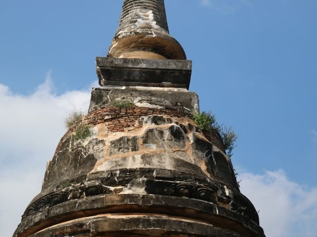草に覆われた仏塔。