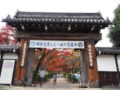 西教寺　山門

天正年間に坂本城主明智光秀が坂本城門を移築したものと伝えられ、老朽化が進んだため、昭和59年に修理が加えられたが、そのままの姿で復元されたもの。