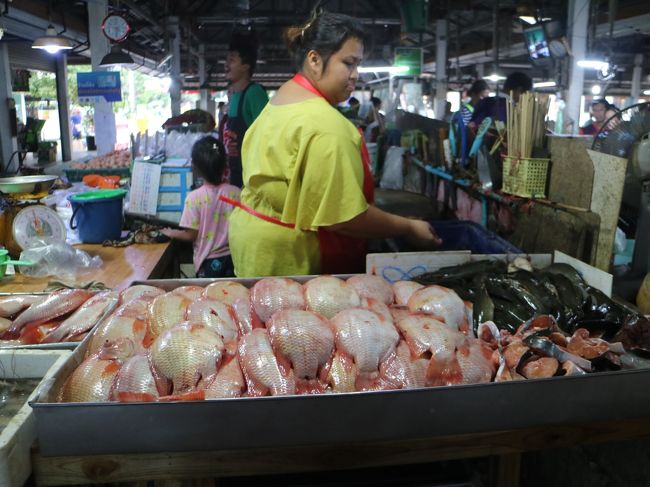 新鮮な魚、ナマズがはねていた。