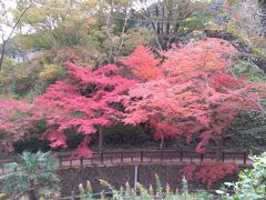 チェックアウト後、根来寺に行ってみます。