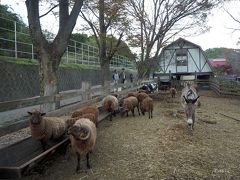 ダム（天端など）が見られるのかな？？と「あいかわ公園」の方に行ってみようと思いましたが、駐車場は満車でしたし、１日料金の設定しかないようでしたので今回はスルーして次へ。

車で走り出してすぐに、家族が「そこ！そこ入って！」と。Ｐと書かれていたので、とりあえず入ってみると、そこは「服部牧場」でした。どうやらDQWの討伐モンスターがいたみたいです（笑）せっかく立ち寄ったので、ついでに観光していくことにしました。