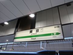 仙台遠征のスタートは東京駅から。
マラソンから2週間後にまたまた訪れました。