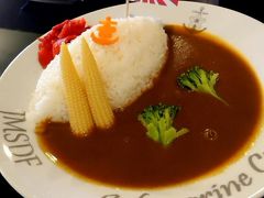 ハイカラ食堂にて潜水艦カレー
(海上自衛隊潜水艦そうりゅうのレシピ監修)
あまさの中にあとから来る辛さがあります