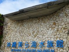 沖縄美ら海水族館