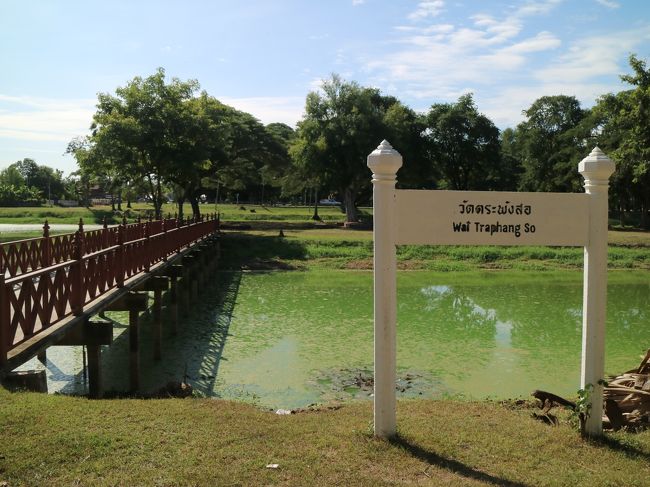 外側をのんびりサイクリング。