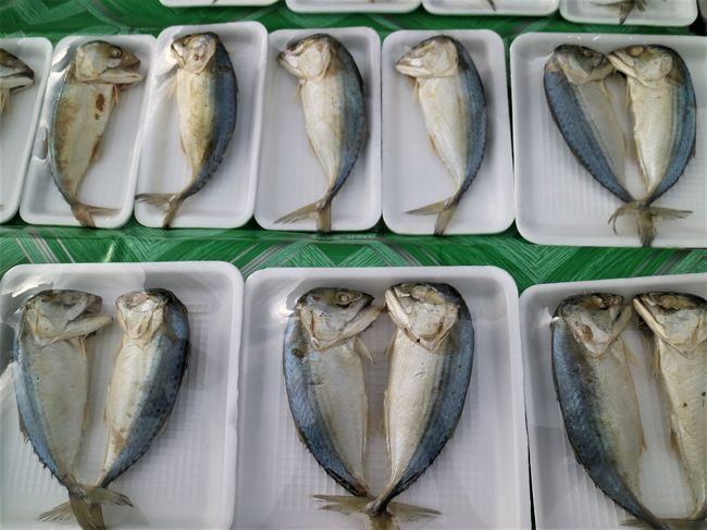 スワンカローク焼きの皿によく書かれているお魚。<br />そのまんまユーモラス。