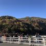 2019年11月　京都嵐山の紅葉　厭離庵・二尊院