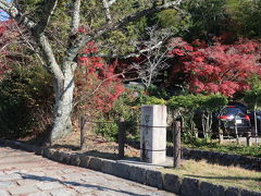 南禅寺から永観堂迄は凄い人と車。。
何とかやり過ごして、久しぶりの
哲学の道