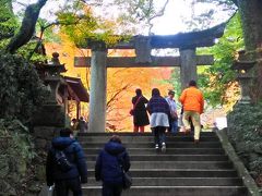 　すぐ上にある仁比山神社に向かいます。