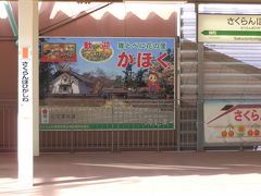 　さくらんぼ東根駅のホームです。9時45分発　つばさ136号に乗車します。

　さくらんぼで最もおいしい、と言われる品種「佐藤錦」。約８割の農家の方は、佐藤錦を植えています。ここ東根市は、さくらんぼ日本一の生産量を誇ります。