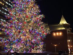 時計広場のクリスマスツリー