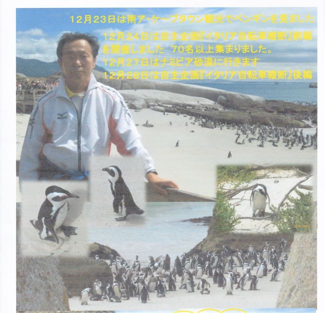 ケープタウンではペンギンの生息地だけでなく<br />アザラシの生息する島にも行った。