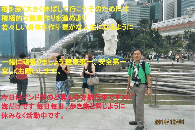 妻に宛てた手作りのポストカード