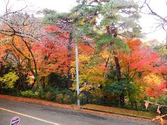 金沢の卯辰山の紅葉