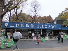 上野動物園のパンダ観覧は20分待ち。
空いてそうだけど、動物たちも寒くて外には出てこないかもですね。。

10月の無料デーに行ったばかりだし、紅葉で満足したので次の機会にします。