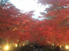 大山阿夫利神社