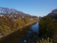  香流川緑道は両岸に歩道整備されとても歩きやすい道です。また２キロにわたって桜並木が続いています。