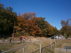  明徳公園は１８ヘクタールの園内に鳥や虫、花の観察ができる公園です。ここも紅葉がきれいです。