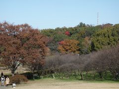 梅園は紅葉とは無関係。