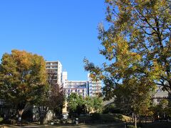 読書の森公園は、中央図書館に隣接してあります。
それ程広くはありませんが、静かで落ち付ける雰囲気がある点も良かったです。
正に読書に適した公園と思われます。
また、公園内にはアンネのバラ (Souvenir d'Anne Frank、アンネ・フランクの形見) が植林されています。自然を愛し、とりわけバラが好きだったアンネ・フランクの未来永劫に存在する「形見」として捧げられたバラであり、父のオットー・フランクから寄贈された物です。アンネのバラは蕾の時は赤、開花後に黄金色、サーモンピンク、そして赤へ変色する特徴があります。これは、もし生き延びる事ができたなら、多くの可能性を秘めていたアンネを表現しているそうです。