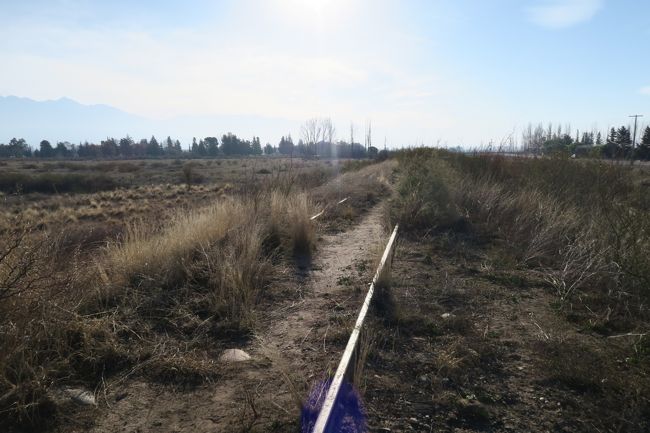 橋の上流というか起点側！この先には駅があったようですが行ってみると痕跡がまったくありませんでした。残念。