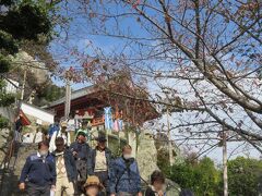 千光寺が近くなってきました

千光寺
https://www.senkouji.jp/