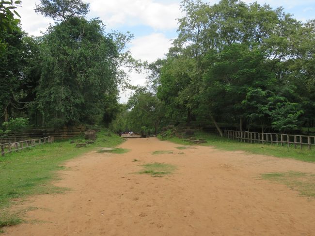 ワクワクする！