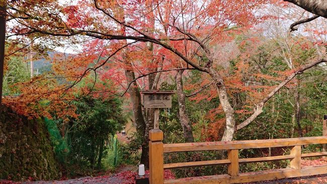 秋爛漫。京都大原三千院～八瀬～錦小路の脈絡のない一人旅