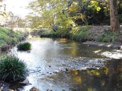 引地川源流
ところどころ川面まで近づける