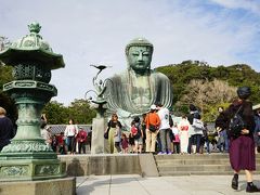 鎌倉の大仏を観光。
朝からでも結構賑わってました！
主に外国人の観光客が多かったですね。