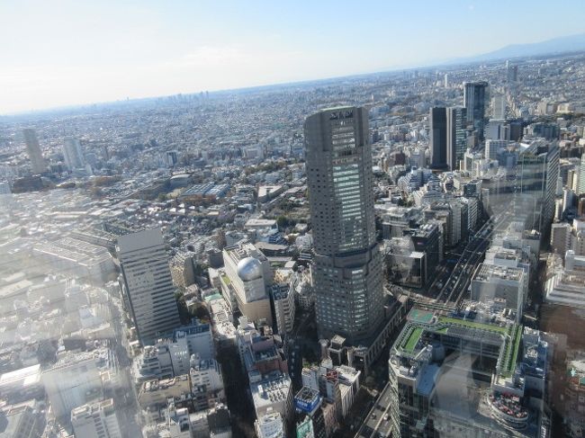 2019年11月東京ビュー「渋谷スカイ in 渋谷スクランブルスクエア 2019年11月東京ビュー「渋谷スカイ in 渋谷スクランブルスクエア