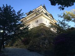 和歌山城、天守閣に続く道から夜の動物園を見下ろすことができました。
